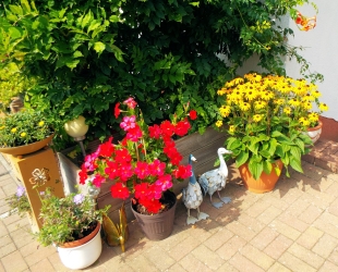 Ferienwohnung 2 - Fam. Birkholz