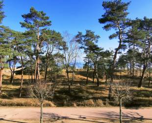 Ferienwohnung 'Seeseite' - Villa Adler