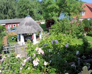 Ferienwohnung - Frau Reule