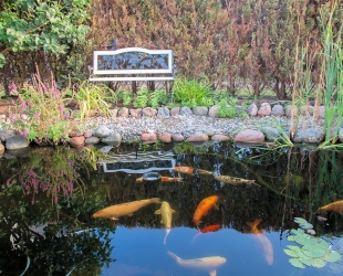 Ferienwohnung 1 - Fam. Beier